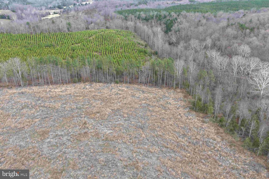 WEST RIVER ROAD (RT. 6) (TRACT: JR C.B. MOON-1), SCOTTSVILLE, Virginia 24590, ,Farm,14,WEST RIVER ROAD (RT. 6) (TRACT: JR C.B. MOON-1),VAFN2000634 MLS # VAFN2000634