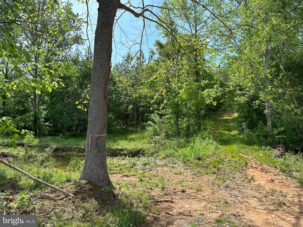 WEST RIVER ROAD (RT. 6) (TRACT: JR C.B. MOON-1), SCOTTSVILLE, Virginia 24590, ,Farm,14,WEST RIVER ROAD (RT. 6) (TRACT: JR C.B. MOON-1),VAFN2000634 MLS # VAFN2000634