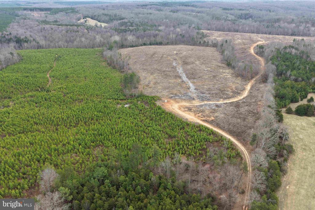 WEST RIVER ROAD (RT. 6) (TRACT: JR C.B. MOON-1), SCOTTSVILLE, Virginia 24590, ,Farm,14,WEST RIVER ROAD (RT. 6) (TRACT: JR C.B. MOON-1),VAFN2000634 MLS # VAFN2000634