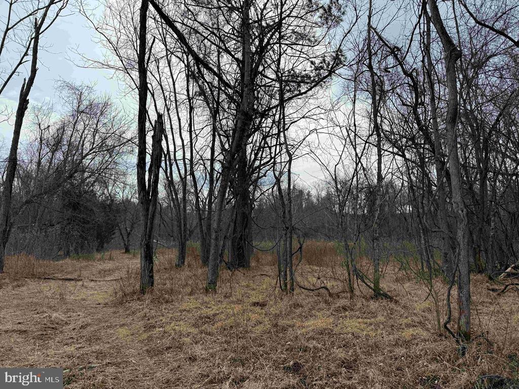 WEST RIVER ROAD (RT. 6) (TRACT: JR C.B. MOON-1), SCOTTSVILLE, Virginia 24590, ,Farm,14,WEST RIVER ROAD (RT. 6) (TRACT: JR C.B. MOON-1),VAFN2000634 MLS # VAFN2000634