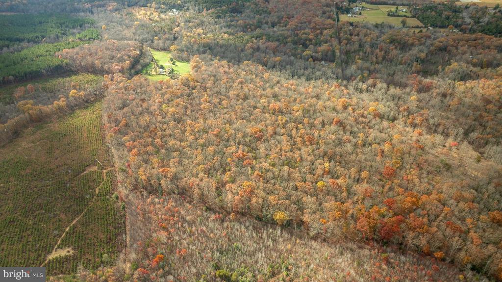 14100 CEDAR PLANTATION RD, SPOTSYLVANIA, Virginia 22551, ,Land,14,14100 CEDAR PLANTATION RD,VASP2037550 MLS # VASP2037550