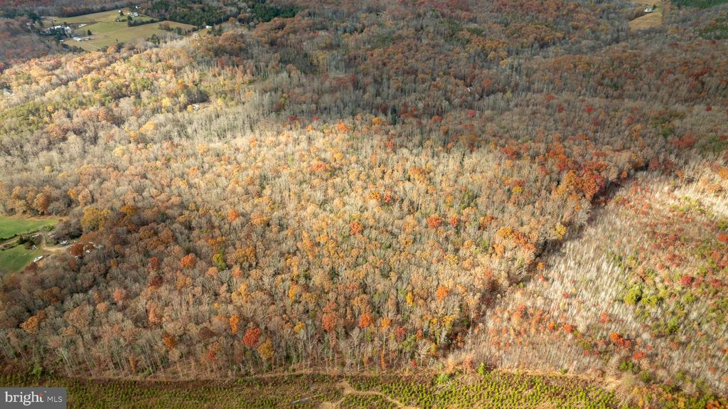 14100 CEDAR PLANTATION RD, SPOTSYLVANIA, Virginia 22551, ,Land,14,14100 CEDAR PLANTATION RD,VASP2037550 MLS # VASP2037550