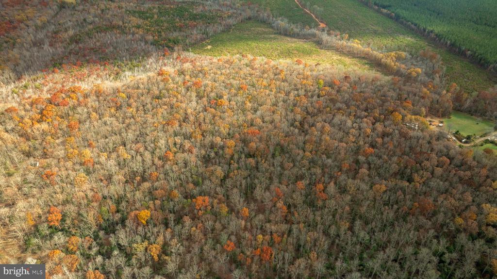 14100 CEDAR PLANTATION RD, SPOTSYLVANIA, Virginia 22551, ,Land,14,14100 CEDAR PLANTATION RD,VASP2037550 MLS # VASP2037550