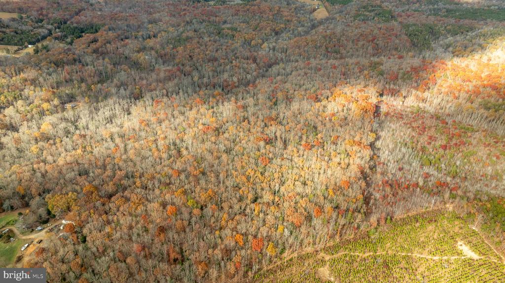 14100 CEDAR PLANTATION RD, SPOTSYLVANIA, Virginia 22551, ,Land,14,14100 CEDAR PLANTATION RD,VASP2037550 MLS # VASP2037550