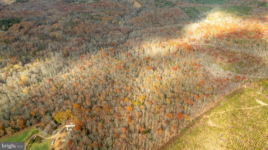 14100 CEDAR PLANTATION RD, SPOTSYLVANIA, Virginia 22551, ,Land,14,14100 CEDAR PLANTATION RD,VASP2037550 MLS # VASP2037550