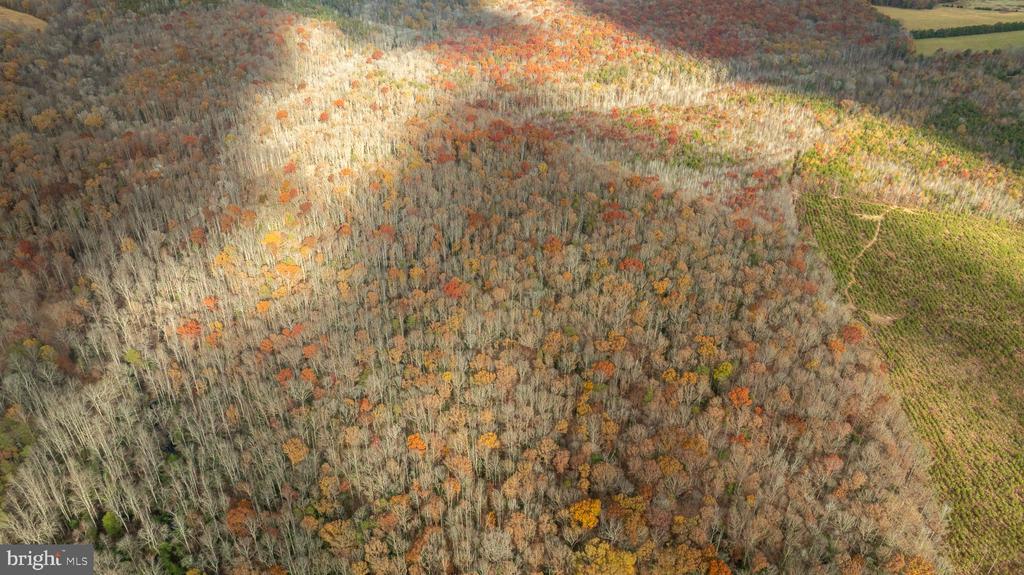 14100 CEDAR PLANTATION RD, SPOTSYLVANIA, Virginia 22551, ,Land,14,14100 CEDAR PLANTATION RD,VASP2037550 MLS # VASP2037550