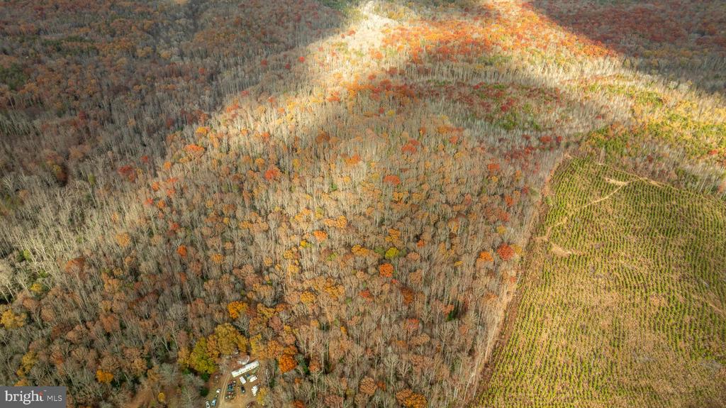 14100 CEDAR PLANTATION RD, SPOTSYLVANIA, Virginia 22551, ,Land,14,14100 CEDAR PLANTATION RD,VASP2037550 MLS # VASP2037550