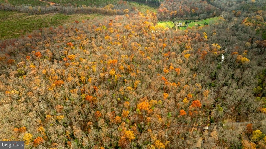 14100 CEDAR PLANTATION RD, SPOTSYLVANIA, Virginia 22551, ,Land,14,14100 CEDAR PLANTATION RD,VASP2037550 MLS # VASP2037550