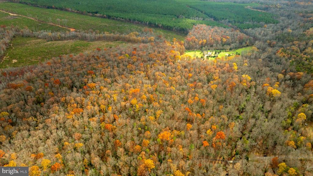 14100 CEDAR PLANTATION RD, SPOTSYLVANIA, Virginia 22551, ,Land,14,14100 CEDAR PLANTATION RD,VASP2037550 MLS # VASP2037550