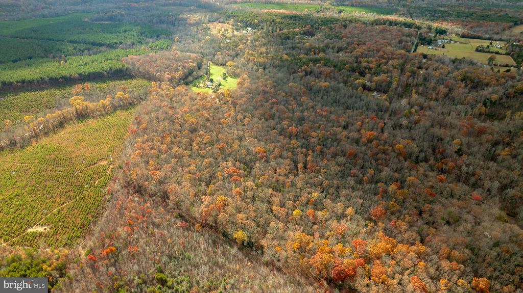 14100 CEDAR PLANTATION RD, SPOTSYLVANIA, Virginia 22551, ,Land,14,14100 CEDAR PLANTATION RD,VASP2037550 MLS # VASP2037550