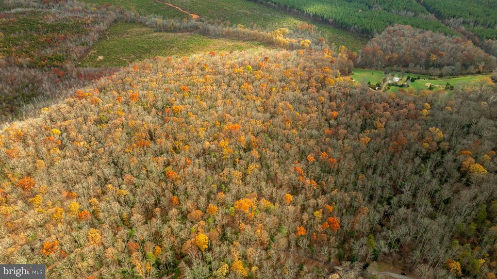 14100 CEDAR PLANTATION RD, SPOTSYLVANIA, Virginia 22551, ,Land,14,14100 CEDAR PLANTATION RD,VASP2037550 MLS # VASP2037550