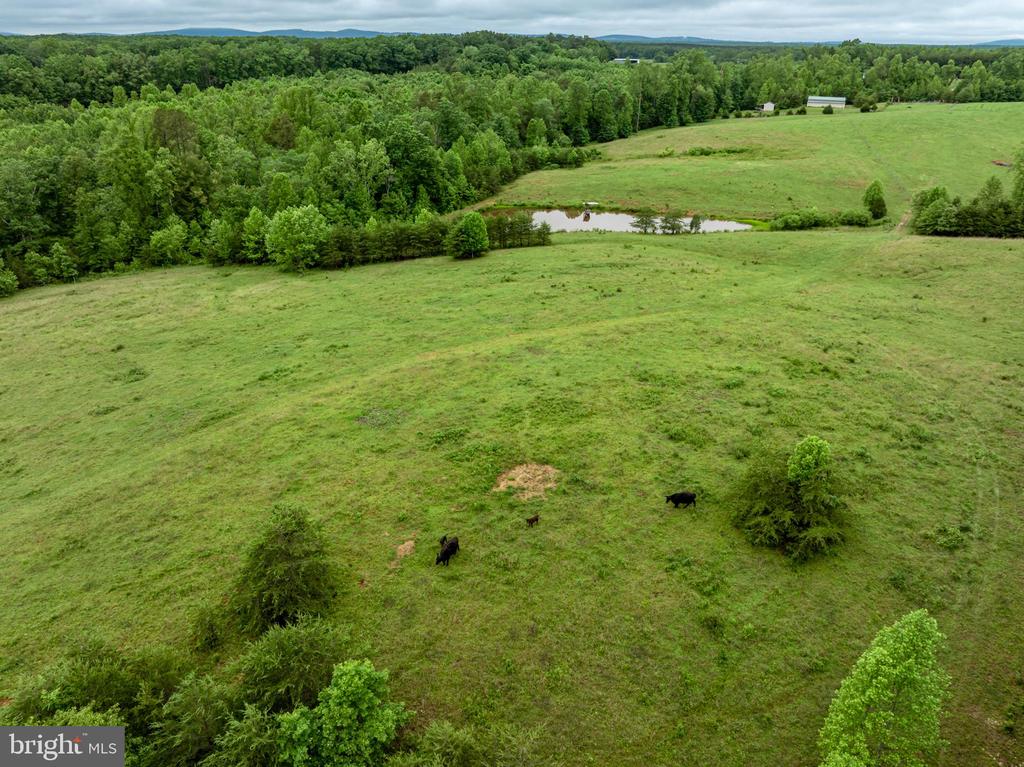 50 ELIZABETH, LOUISA, Virginia 23093, ,Land,14,50 ELIZABETH,VALA2009456 MLS # VALA2009456 50 ELIZABETH, LOUISA, Virginia 23093, ,Land,14,50 ELIZABETH,VALA2009456 MLS # VALA2009456