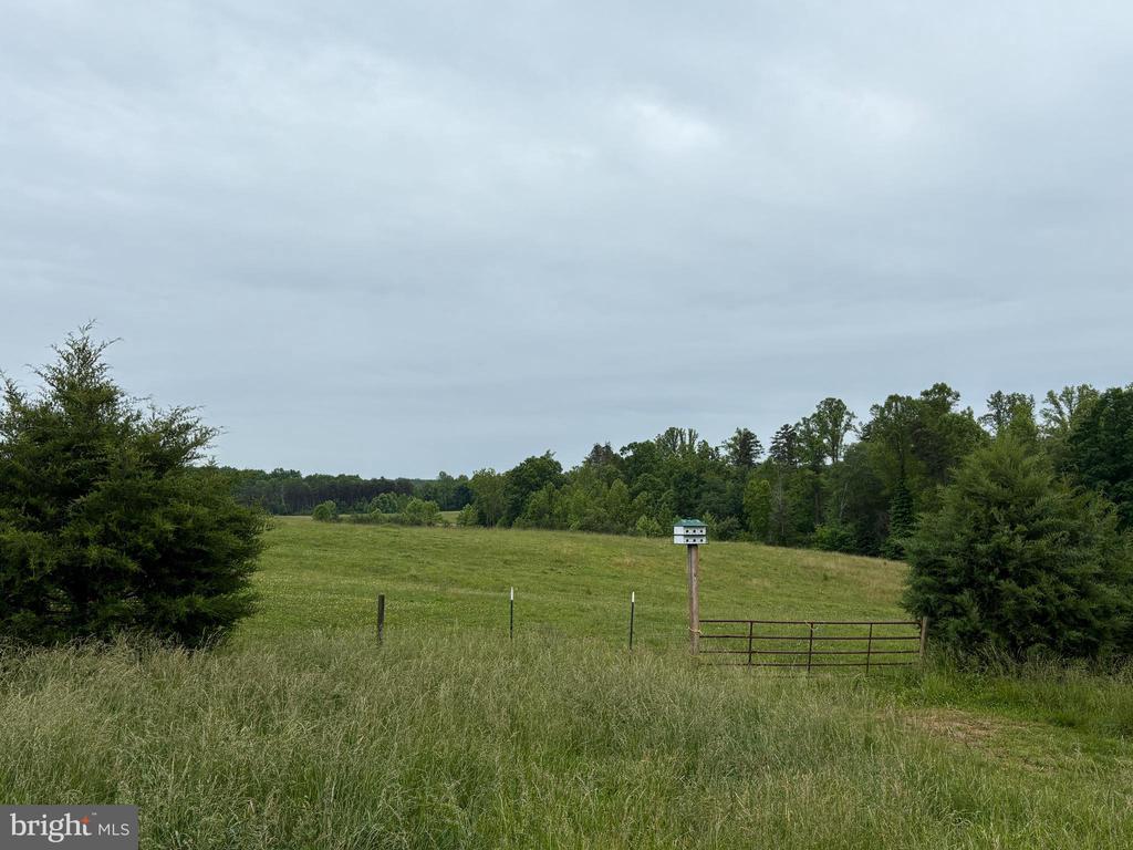 50 ELIZABETH, LOUISA, Virginia 23093, ,Land,14,50 ELIZABETH,VALA2009456 MLS # VALA2009456 50 ELIZABETH, LOUISA, Virginia 23093, ,Land,14,50 ELIZABETH,VALA2009456 MLS # VALA2009456