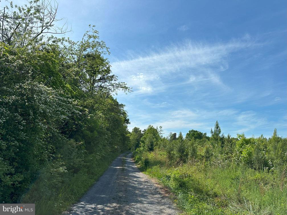 WEST RIVER ROAD (TRACT: JR C.B. MOON-2), SCOTTSVILLE, Virginia 24590, ,Farm,14,WEST RIVER ROAD (TRACT: JR C.B. MOON-2),VAFN2000638 MLS # VAFN2000638