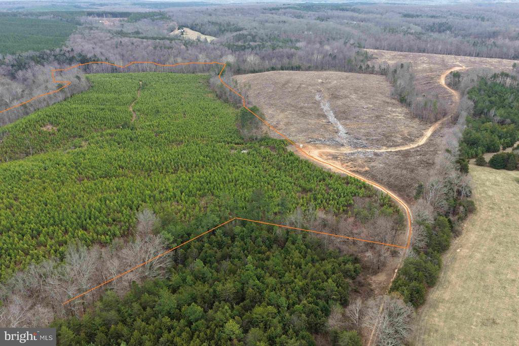 WEST RIVER ROAD (TRACT: JR C.B. MOON-2), SCOTTSVILLE, Virginia 24590, ,Farm,14,WEST RIVER ROAD (TRACT: JR C.B. MOON-2),VAFN2000638 MLS # VAFN2000638