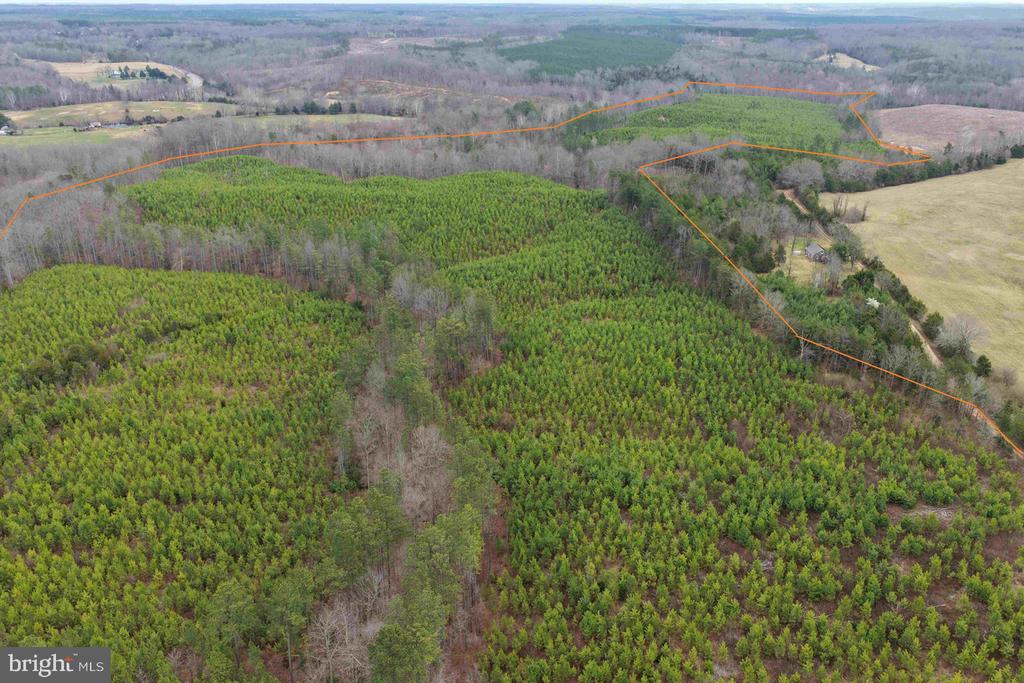 WEST RIVER ROAD (TRACT: JR C.B. MOON-2), SCOTTSVILLE, Virginia 24590, ,Farm,14,WEST RIVER ROAD (TRACT: JR C.B. MOON-2),VAFN2000638 MLS # VAFN2000638