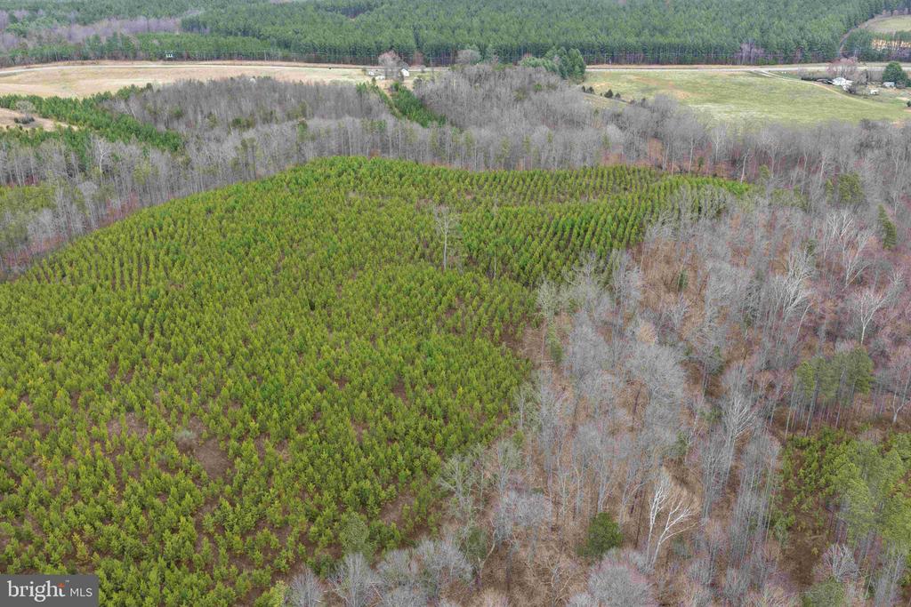 WEST RIVER ROAD (TRACT: JR C.B. MOON-2), SCOTTSVILLE, Virginia 24590, ,Farm,14,WEST RIVER ROAD (TRACT: JR C.B. MOON-2),VAFN2000638 MLS # VAFN2000638