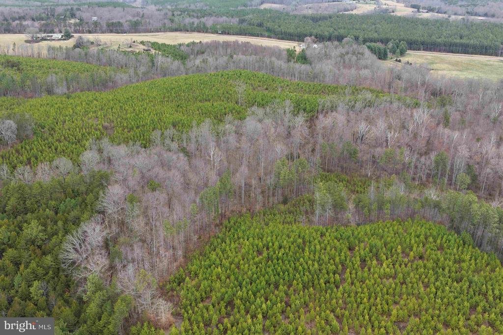 WEST RIVER ROAD (TRACT: JR C.B. MOON-2), SCOTTSVILLE, Virginia 24590, ,Farm,14,WEST RIVER ROAD (TRACT: JR C.B. MOON-2),VAFN2000638 MLS # VAFN2000638