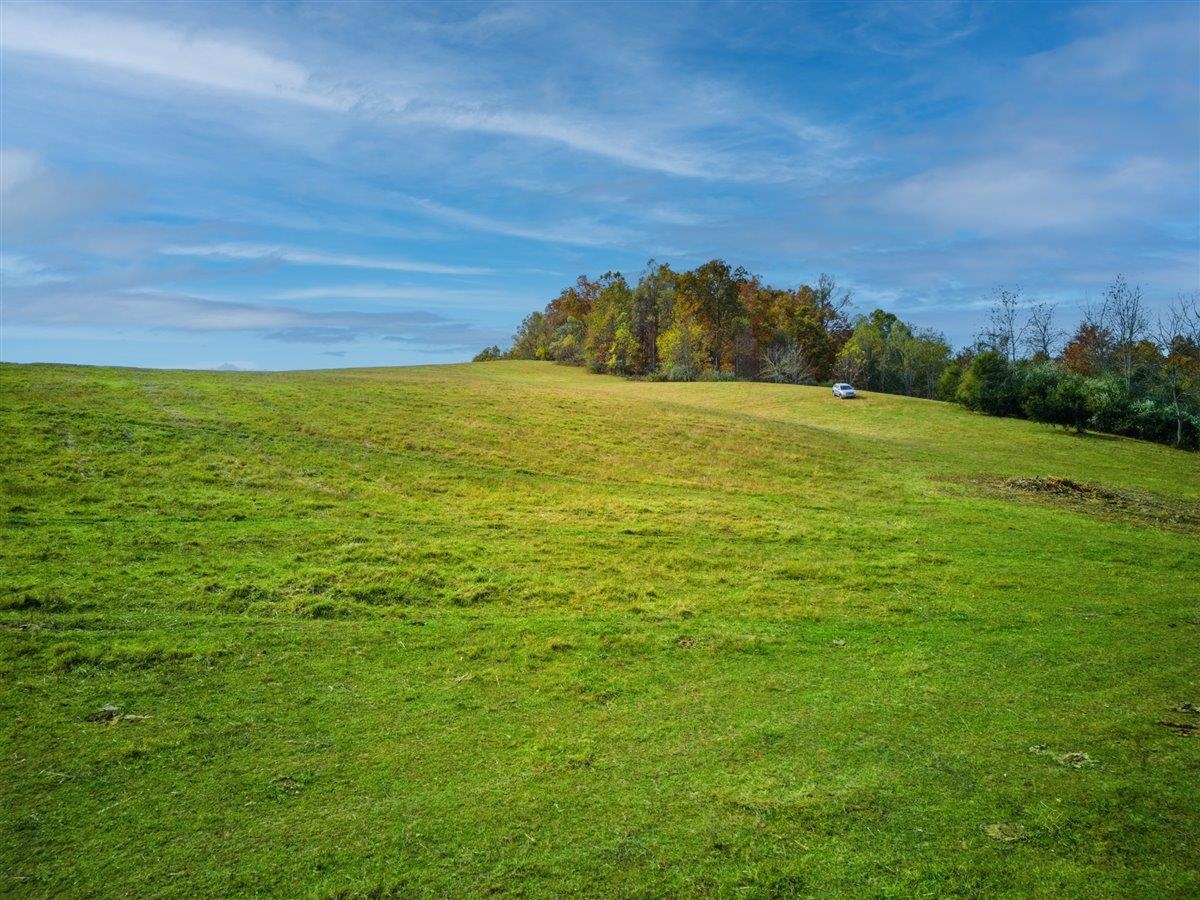 TBD OLD B AND O RD, RAPHINE, Virginia 24472, ,Farm,14,TBD OLD B AND O RD,674399 MLS # 674399 TBD OLD B AND O RD, RAPHINE, Virginia 24472, ,Farm,14,TBD OLD B AND O RD,674399 MLS # 674399
