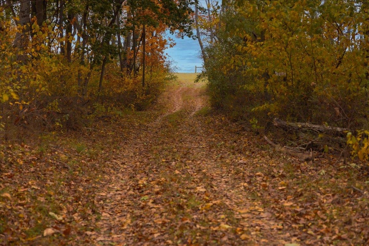 TBD OLD B AND O RD, RAPHINE, Virginia 24472, ,Farm,14,TBD OLD B AND O RD,674399 MLS # 674399 TBD OLD B AND O RD, RAPHINE, Virginia 24472, ,Farm,14,TBD OLD B AND O RD,674399 MLS # 674399