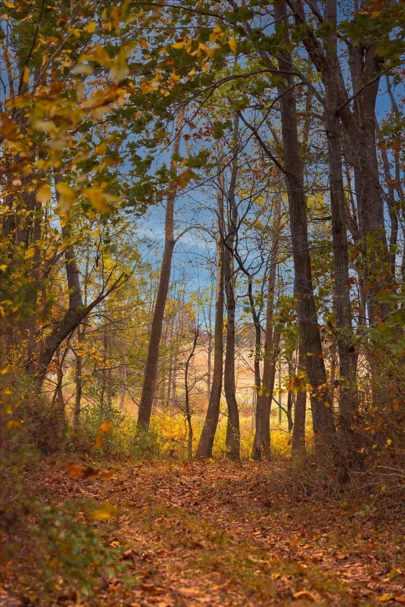 TBD OLD B AND O RD, RAPHINE, Virginia 24472, ,Farm,14,TBD OLD B AND O RD,674399 MLS # 674399 TBD OLD B AND O RD, RAPHINE, Virginia 24472, ,Farm,14,TBD OLD B AND O RD,674399 MLS # 674399