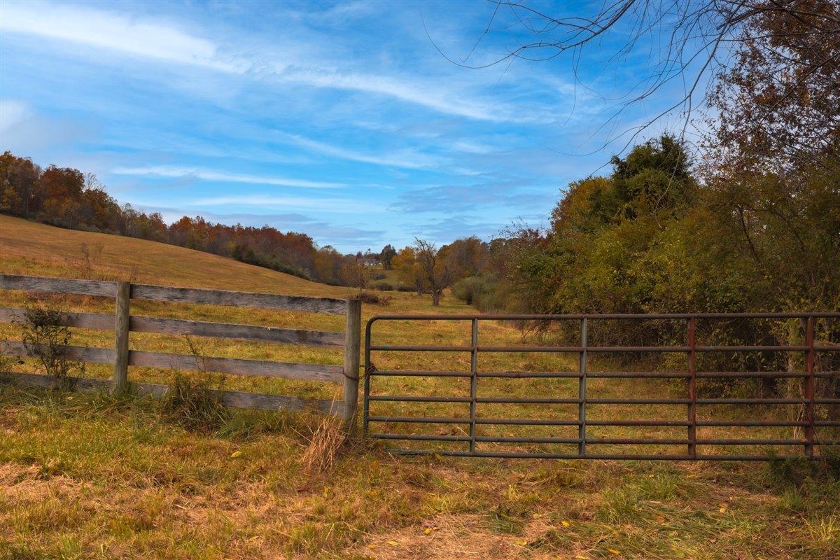TBD OLD B AND O RD, RAPHINE, Virginia 24472, ,Farm,14,TBD OLD B AND O RD,674399 MLS # 674399 TBD OLD B AND O RD, RAPHINE, Virginia 24472, ,Farm,14,TBD OLD B AND O RD,674399 MLS # 674399