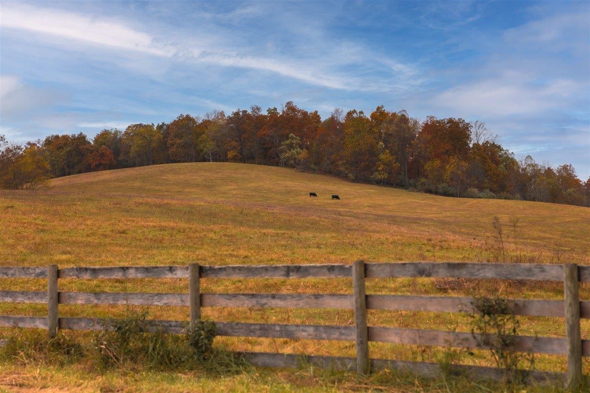TBD OLD B AND O RD, RAPHINE, Virginia 24472, ,Farm,14,TBD OLD B AND O RD,674399 MLS # 674399 TBD OLD B AND O RD, RAPHINE, Virginia 24472, ,Farm,14,TBD OLD B AND O RD,674399 MLS # 674399