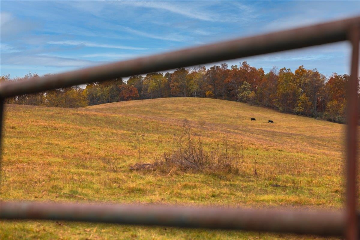TBD OLD B AND O RD, RAPHINE, Virginia 24472, ,Farm,14,TBD OLD B AND O RD,674399 MLS # 674399 TBD OLD B AND O RD, RAPHINE, Virginia 24472, ,Farm,14,TBD OLD B AND O RD,674399 MLS # 674399