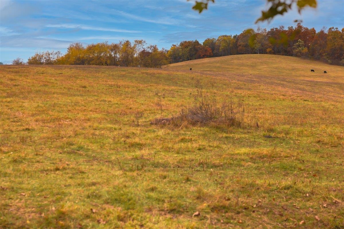 TBD OLD B AND O RD, RAPHINE, Virginia 24472, ,Farm,14,TBD OLD B AND O RD,674399 MLS # 674399 TBD OLD B AND O RD, RAPHINE, Virginia 24472, ,Farm,14,TBD OLD B AND O RD,674399 MLS # 674399
