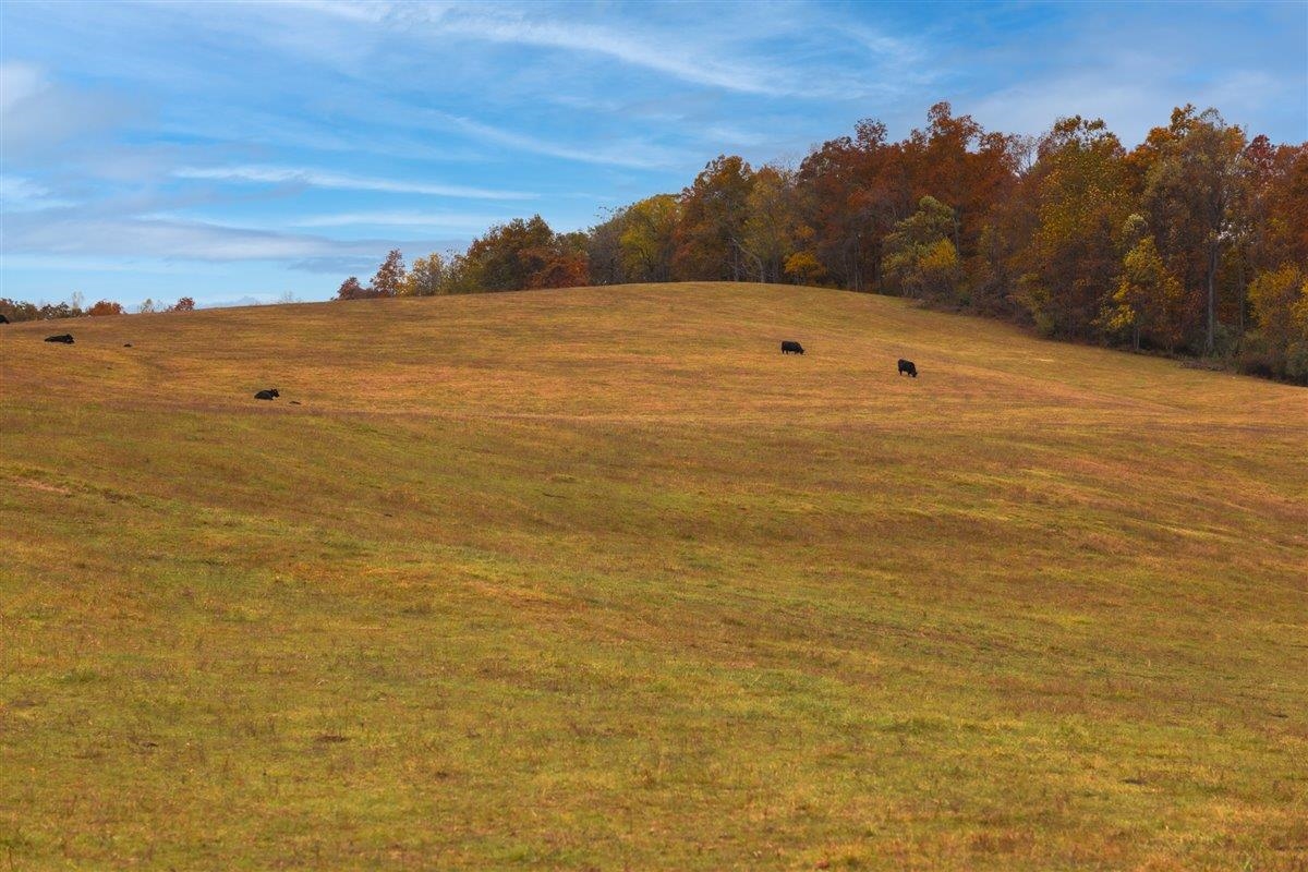 TBD OLD B AND O RD, RAPHINE, Virginia 24472, ,Farm,14,TBD OLD B AND O RD,674399 MLS # 674399 TBD OLD B AND O RD, RAPHINE, Virginia 24472, ,Farm,14,TBD OLD B AND O RD,674399 MLS # 674399