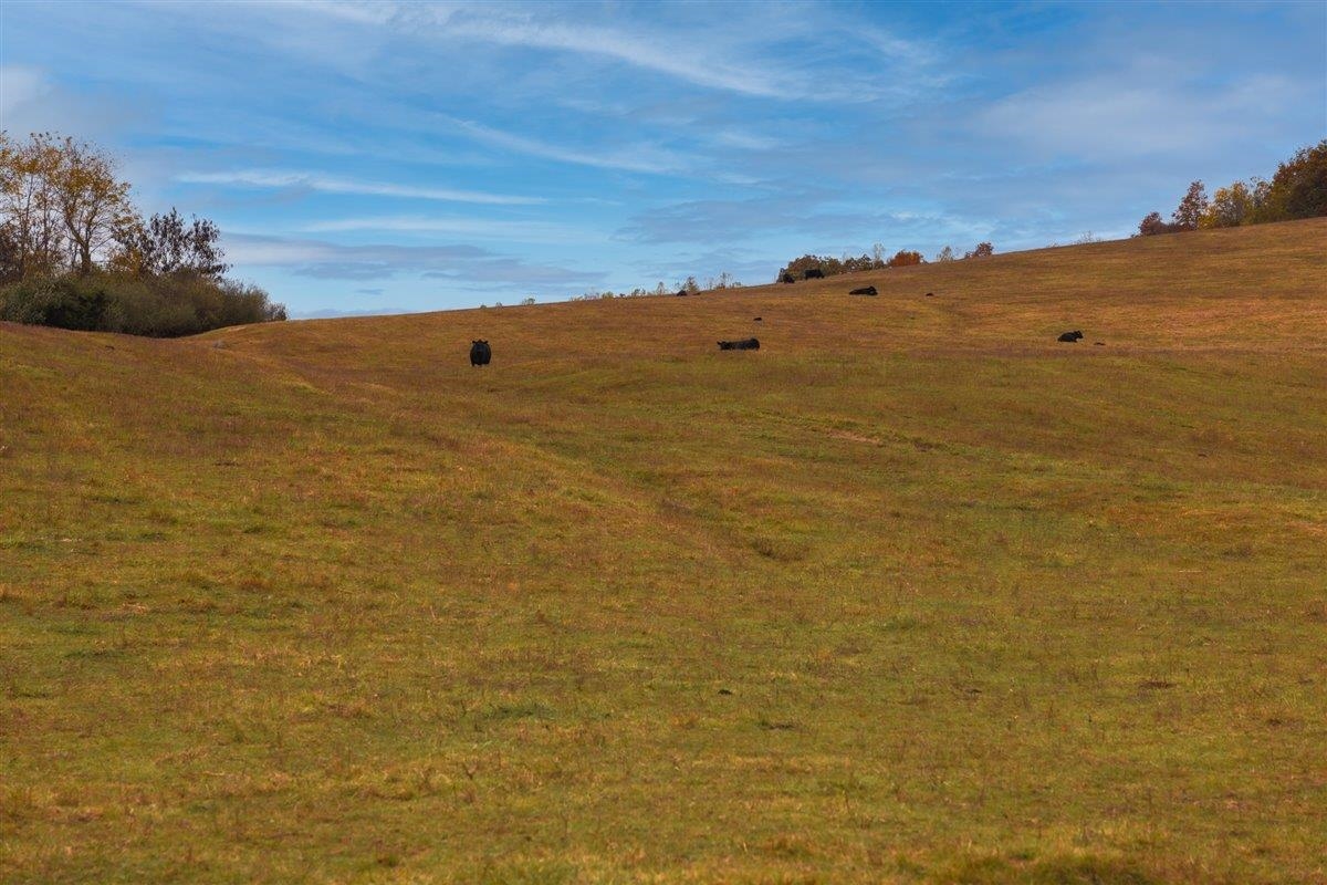 TBD OLD B AND O RD, RAPHINE, Virginia 24472, ,Farm,14,TBD OLD B AND O RD,674399 MLS # 674399 TBD OLD B AND O RD, RAPHINE, Virginia 24472, ,Farm,14,TBD OLD B AND O RD,674399 MLS # 674399