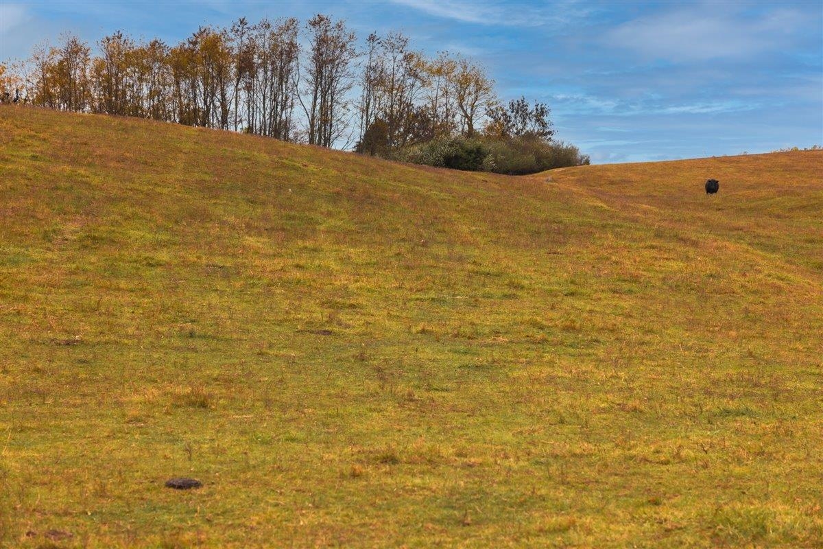 TBD OLD B AND O RD, RAPHINE, Virginia 24472, ,Farm,14,TBD OLD B AND O RD,674399 MLS # 674399 TBD OLD B AND O RD, RAPHINE, Virginia 24472, ,Farm,14,TBD OLD B AND O RD,674399 MLS # 674399