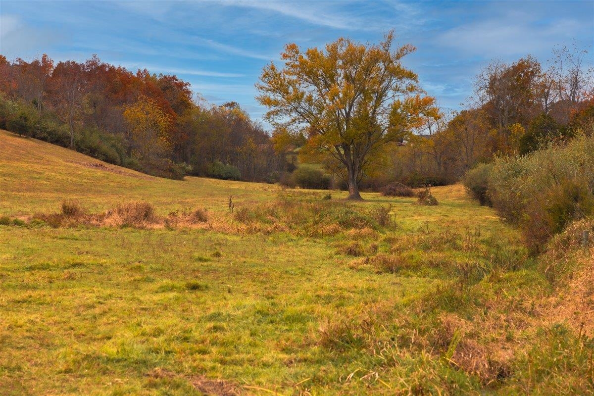 TBD OLD B AND O RD, RAPHINE, Virginia 24472, ,Farm,14,TBD OLD B AND O RD,674399 MLS # 674399 TBD OLD B AND O RD, RAPHINE, Virginia 24472, ,Farm,14,TBD OLD B AND O RD,674399 MLS # 674399