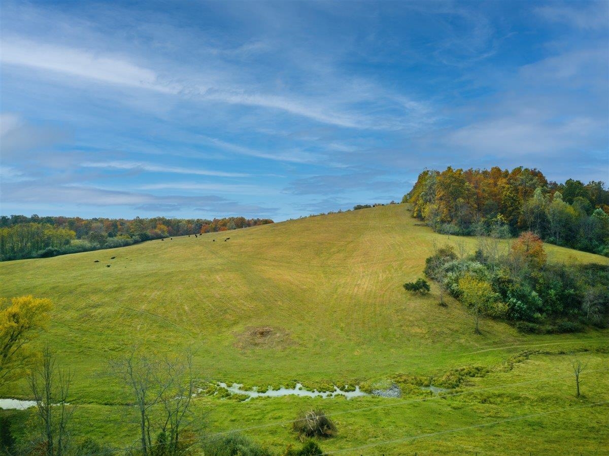 TBD OLD B AND O RD, RAPHINE, Virginia 24472, ,Farm,14,TBD OLD B AND O RD,674399 MLS # 674399 TBD OLD B AND O RD, RAPHINE, Virginia 24472, ,Farm,14,TBD OLD B AND O RD,674399 MLS # 674399