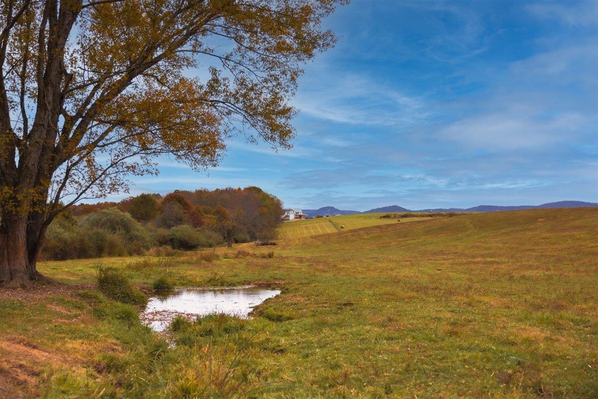TBD OLD B AND O RD, RAPHINE, Virginia 24472, ,Farm,14,TBD OLD B AND O RD,674399 MLS # 674399 TBD OLD B AND O RD, RAPHINE, Virginia 24472, ,Farm,14,TBD OLD B AND O RD,674399 MLS # 674399