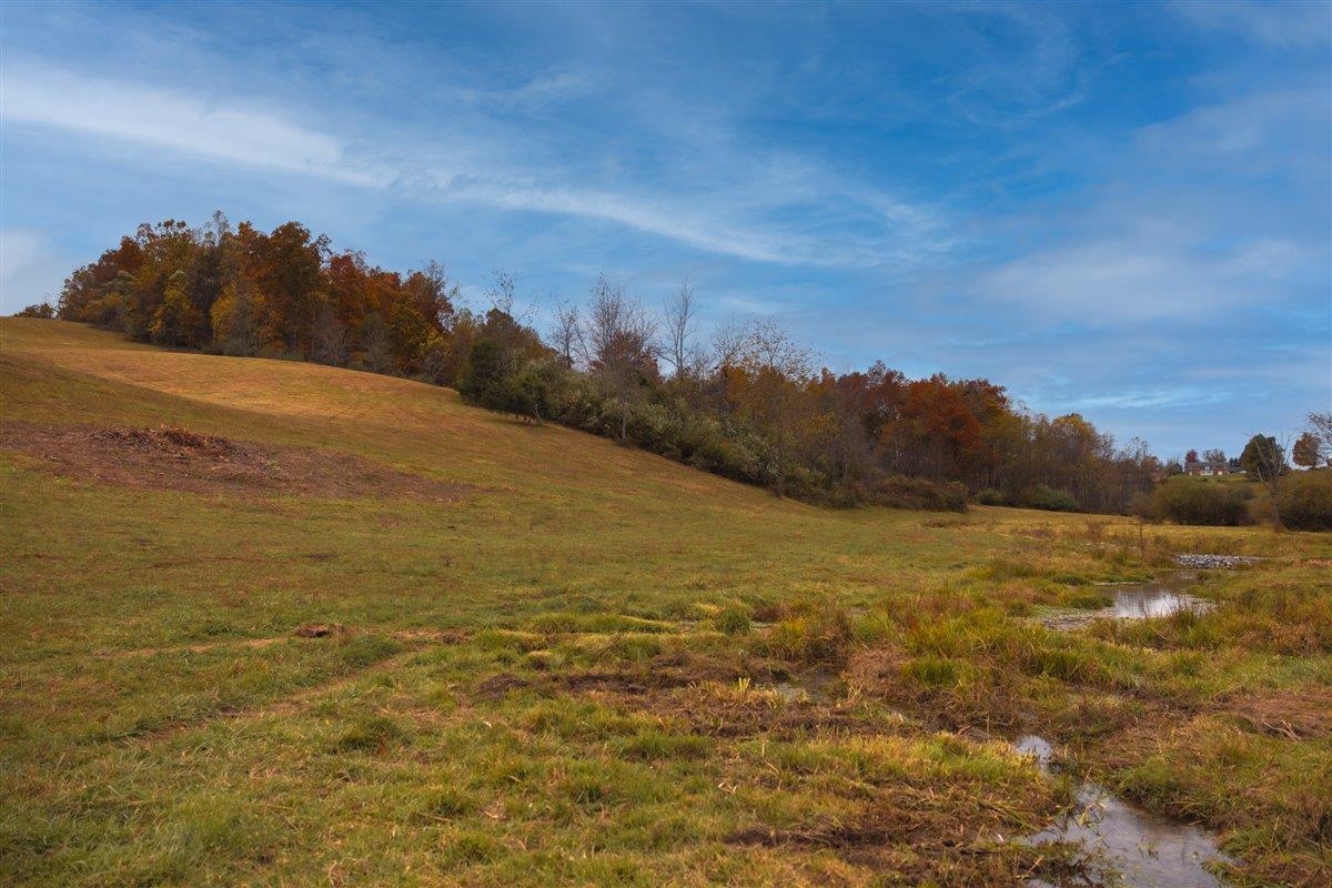 TBD OLD B AND O RD, RAPHINE, Virginia 24472, ,Farm,14,TBD OLD B AND O RD,674399 MLS # 674399 TBD OLD B AND O RD, RAPHINE, Virginia 24472, ,Farm,14,TBD OLD B AND O RD,674399 MLS # 674399