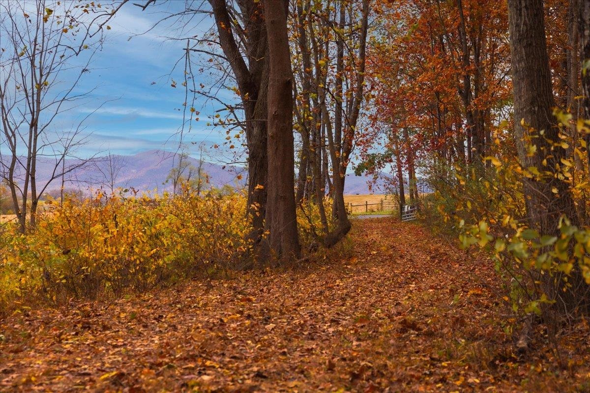 TBD OLD B AND O RD, RAPHINE, Virginia 24472, ,Farm,14,TBD OLD B AND O RD,674399 MLS # 674399 TBD OLD B AND O RD, RAPHINE, Virginia 24472, ,Farm,14,TBD OLD B AND O RD,674399 MLS # 674399