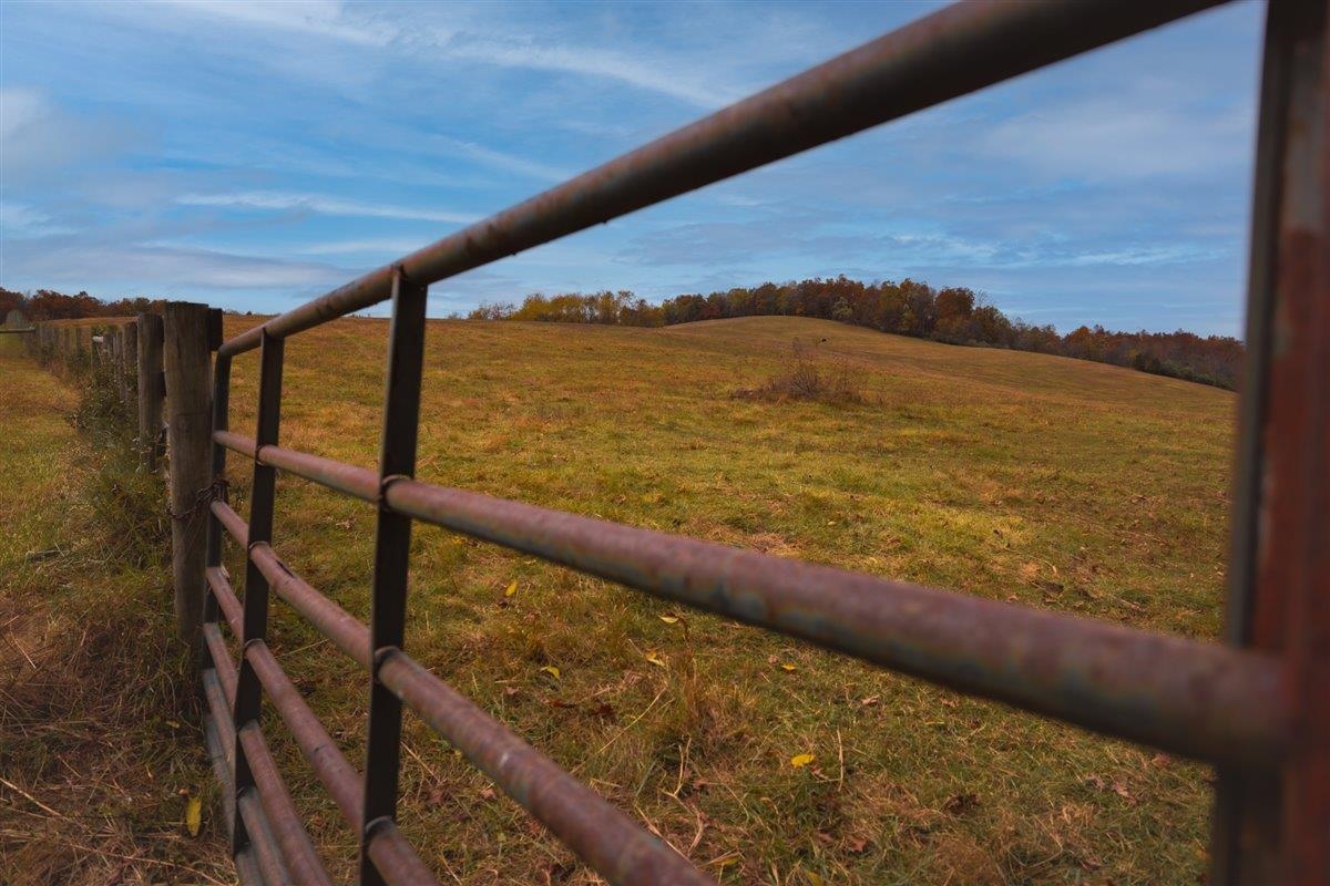 TBD OLD B AND O RD, RAPHINE, Virginia 24472, ,Farm,14,TBD OLD B AND O RD,674399 MLS # 674399 TBD OLD B AND O RD, RAPHINE, Virginia 24472, ,Farm,14,TBD OLD B AND O RD,674399 MLS # 674399