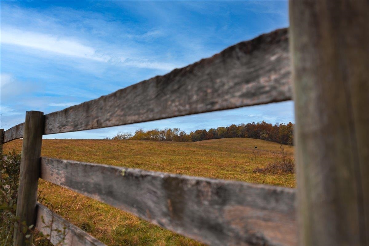 TBD OLD B AND O RD, RAPHINE, Virginia 24472, ,Farm,14,TBD OLD B AND O RD,674399 MLS # 674399 TBD OLD B AND O RD, RAPHINE, Virginia 24472, ,Farm,14,TBD OLD B AND O RD,674399 MLS # 674399