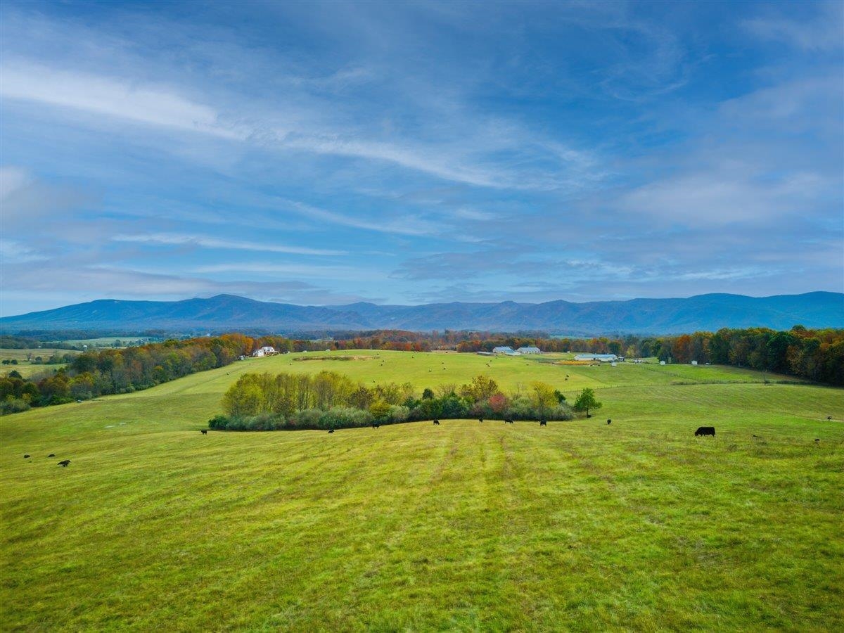 TBD OLD B AND O RD, RAPHINE, Virginia 24472, ,Farm,14,TBD OLD B AND O RD,674399 MLS # 674399 TBD OLD B AND O RD, RAPHINE, Virginia 24472, ,Farm,14,TBD OLD B AND O RD,674399 MLS # 674399