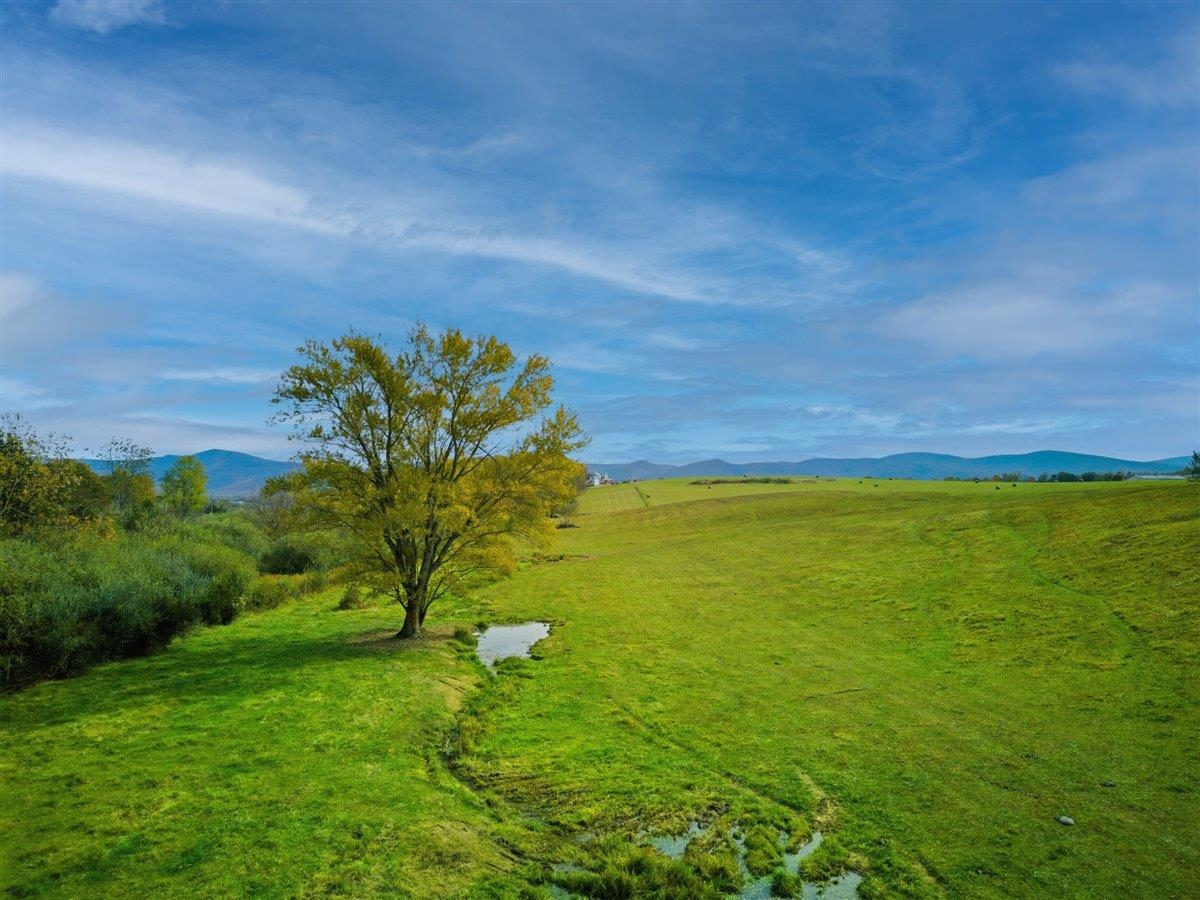TBD OLD B AND O RD, RAPHINE, Virginia 24472, ,Farm,14,TBD OLD B AND O RD,674399 MLS # 674399 TBD OLD B AND O RD, RAPHINE, Virginia 24472, ,Farm,14,TBD OLD B AND O RD,674399 MLS # 674399