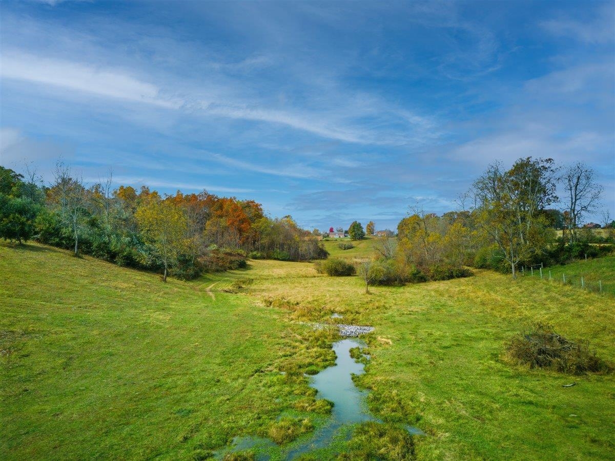 TBD OLD B AND O RD, RAPHINE, Virginia 24472, ,Farm,14,TBD OLD B AND O RD,674399 MLS # 674399 TBD OLD B AND O RD, RAPHINE, Virginia 24472, ,Farm,14,TBD OLD B AND O RD,674399 MLS # 674399