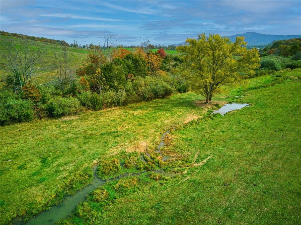 TBD OLD B AND O RD, RAPHINE, Virginia 24472, ,Farm,14,TBD OLD B AND O RD,674399 MLS # 674399 TBD OLD B AND O RD, RAPHINE, Virginia 24472, ,Farm,14,TBD OLD B AND O RD,674399 MLS # 674399