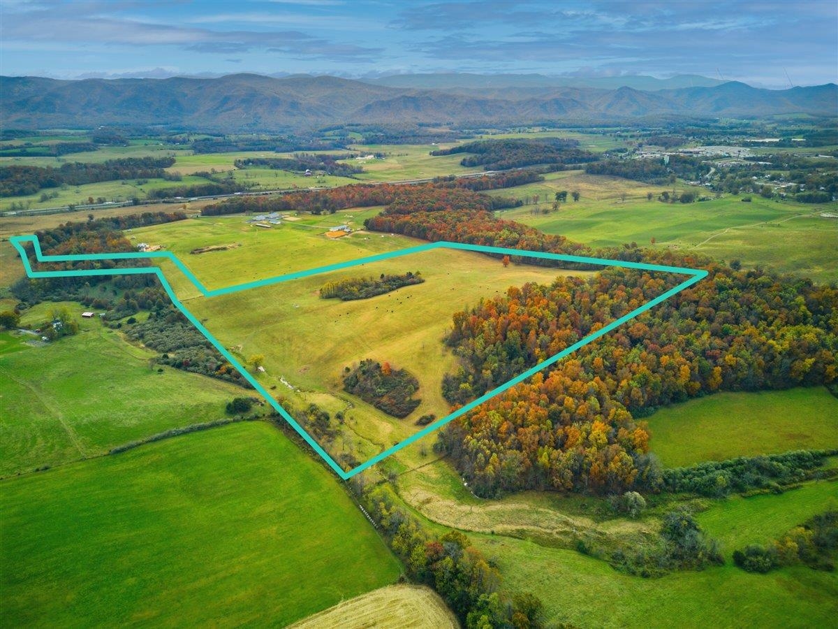 TBD OLD B AND O RD, RAPHINE, Virginia 24472, ,Farm,14,TBD OLD B AND O RD,674399 MLS # 674399 TBD OLD B AND O RD, RAPHINE, Virginia 24472, ,Farm,14,TBD OLD B AND O RD,674399 MLS # 674399