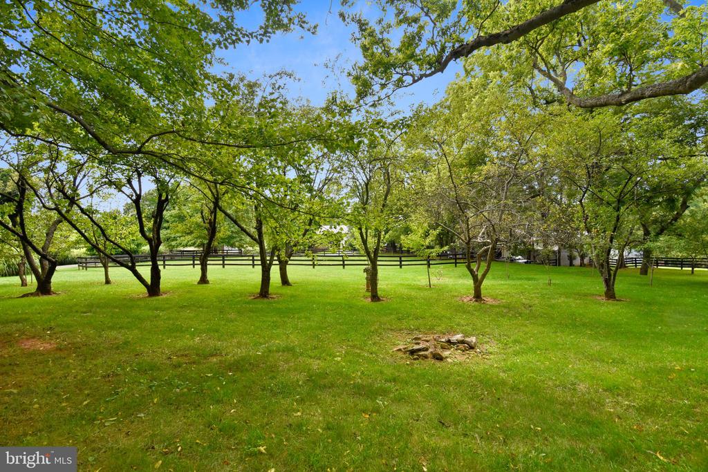 2532 ATOKA RD, MARSHALL, Virginia, 4 Bedrooms Bedrooms, ,4 BathroomsBathrooms,Residential,14,2532 ATOKA RD,VAFQ2020770 MLS # VAFQ2020770 2532 ATOKA RD, MARSHALL, Virginia, 4 Bedrooms Bedrooms, ,4 BathroomsBathrooms,Residential,14,2532 ATOKA RD,VAFQ2020770 MLS # VAFQ2020770