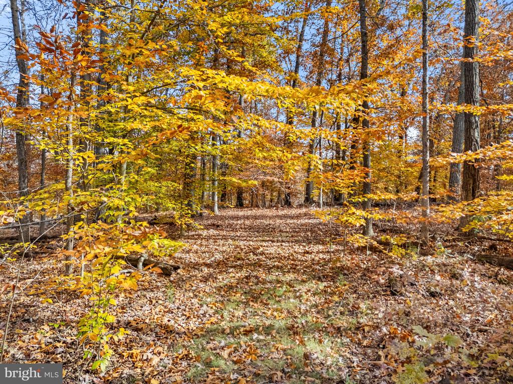 8485 ROGUES RD, WARRENTON, Virginia, 4 Bedrooms Bedrooms, ,4 BathroomsBathrooms,Residential,14,8485 ROGUES RD,VAFQ2019624 MLS # VAFQ2019624 8485 ROGUES RD, WARRENTON, Virginia, 4 Bedrooms Bedrooms, ,4 BathroomsBathrooms,Residential,14,8485 ROGUES RD,VAFQ2019624 MLS # VAFQ2019624