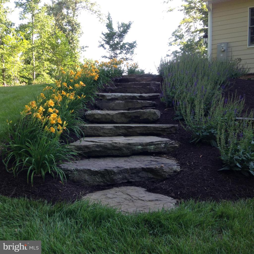 8485 ROGUES RD, WARRENTON, Virginia, 4 Bedrooms Bedrooms, ,4 BathroomsBathrooms,Residential,14,8485 ROGUES RD,VAFQ2019624 MLS # VAFQ2019624 8485 ROGUES RD, WARRENTON, Virginia, 4 Bedrooms Bedrooms, ,4 BathroomsBathrooms,Residential,14,8485 ROGUES RD,VAFQ2019624 MLS # VAFQ2019624