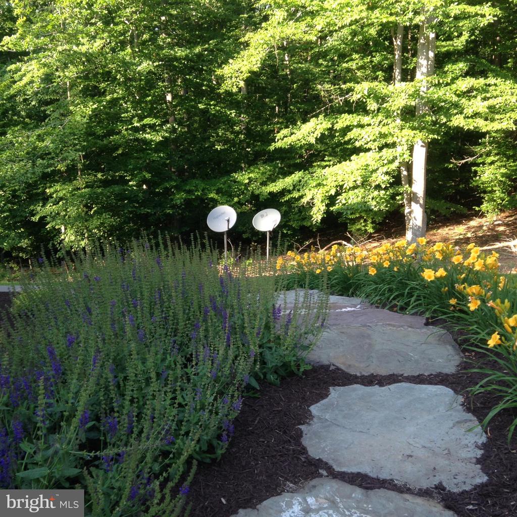 8485 ROGUES RD, WARRENTON, Virginia, 4 Bedrooms Bedrooms, ,4 BathroomsBathrooms,Residential,14,8485 ROGUES RD,VAFQ2019624 MLS # VAFQ2019624 8485 ROGUES RD, WARRENTON, Virginia, 4 Bedrooms Bedrooms, ,4 BathroomsBathrooms,Residential,14,8485 ROGUES RD,VAFQ2019624 MLS # VAFQ2019624