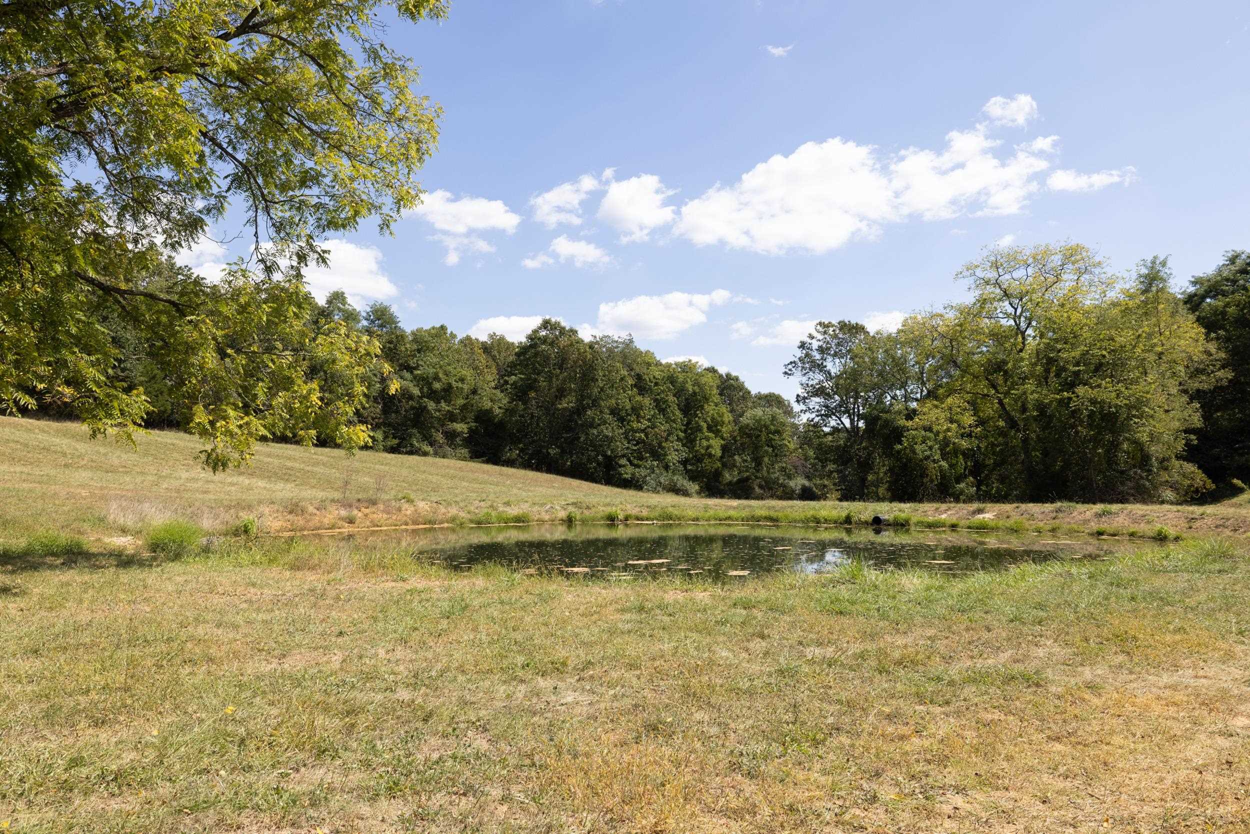 1370 MIDDLEBROOK RD, STAUNTON, Virginia 24401, ,Farm,14,1370 MIDDLEBROOK RD,674611 MLS # 674611 1370 MIDDLEBROOK RD, STAUNTON, Virginia 24401, ,Farm,14,1370 MIDDLEBROOK RD,674611 MLS # 674611