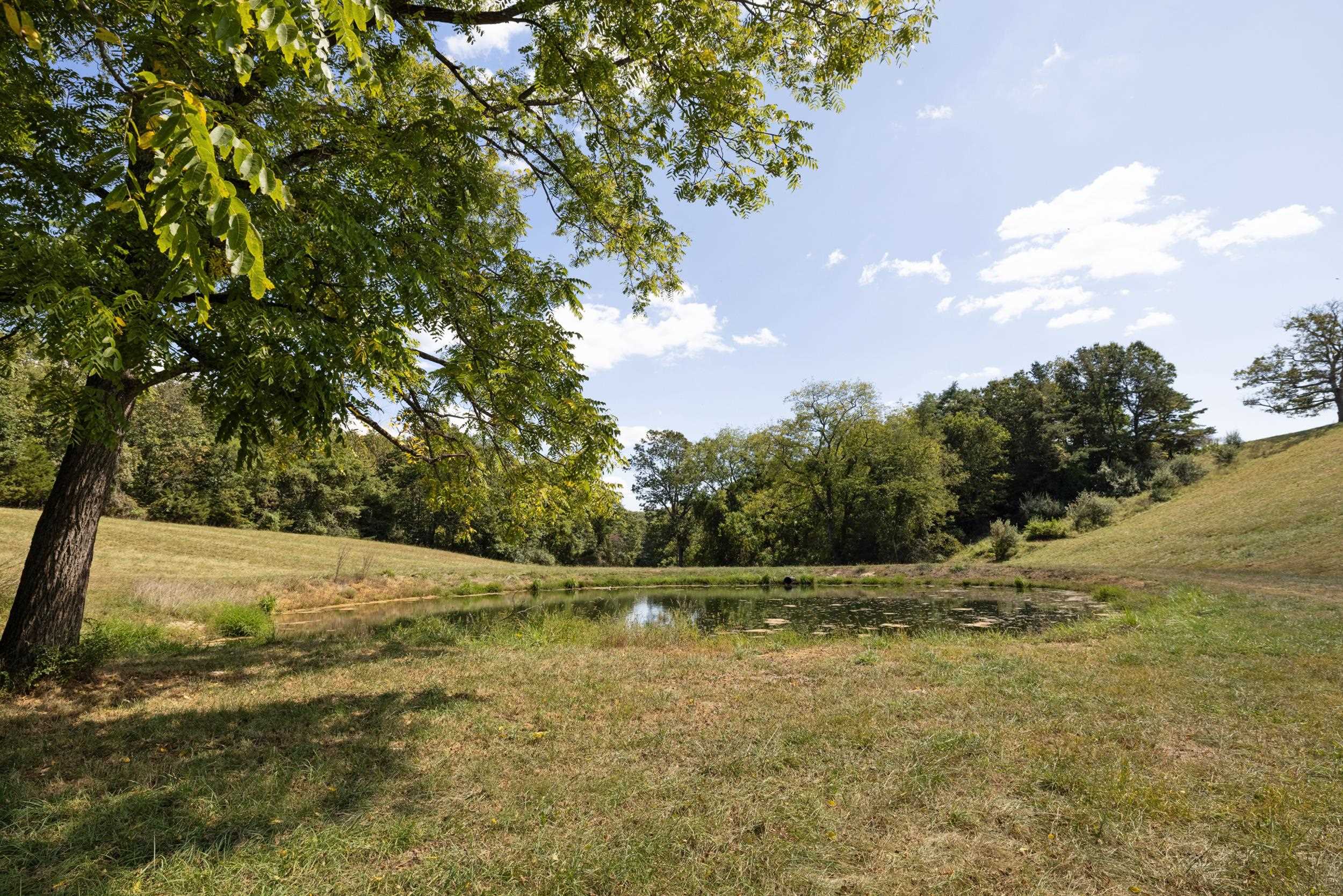 1370 MIDDLEBROOK RD, STAUNTON, Virginia 24401, ,Farm,14,1370 MIDDLEBROOK RD,674611 MLS # 674611 1370 MIDDLEBROOK RD, STAUNTON, Virginia 24401, ,Farm,14,1370 MIDDLEBROOK RD,674611 MLS # 674611